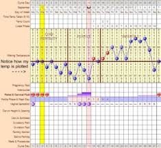 Your Basal Body Temperature Getting Pregnant Com