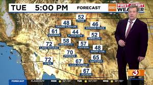 Image result for Warneckea sousae