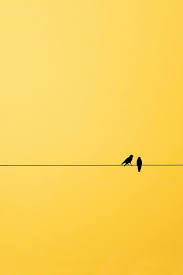 En Amarillo Fondo De Pantalla Amarillo Iphone Fondo De Pantalla Colorido Iphone Fondos De Pantalla