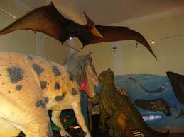 Von faszinierenden unterwasserwelten im aquarium zu außerirdischen erlebnissen in der weltraumhalle, von riesigen sauriern aus längst vergangenen tagen zu einer reise in den menschlichen körper. Haus Der Natur Touren Tickets Salzburg Tripadvisor