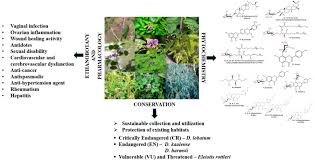 Image result for Polhillides