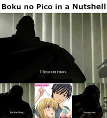Boku no pico / мой пико 1 серия dasere watch online hight quality video. Boku No Pico In A Nutshell Animemes