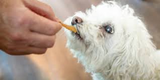 Aug 03, 2020 · dogs should eat according to their size. How Many Treats You Can Give Your Dog During Training