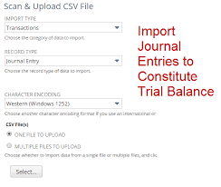 Marty Zigman On Best Practice How To Upload A Netsuite Trial Balance