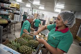 Con la aplicación de davivienda costa rica* usted podrá realizar transacciones desde cualquier lugar. Calvert Impact Capital Portfolio Calvert Impact Capital