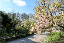 Der botanische garten der universität münster existiert seit 1803. 9 Super Sehenswurdigkeiten In Munster Die Besten Tipps Fur Die Stadtereise