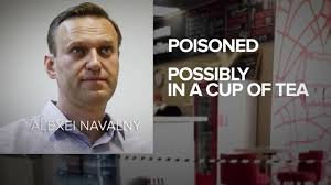 Russia warn navalny supporters not to attend sunday protests. Russian Opposition Leader Alexey Navalny Poisoned Abc News