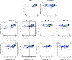 Image result for Brucea antidysenterica