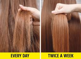 To make our transplant successful, it´s vital that we follow all instructions and guidelines given by the medical team that was in charge of our hair operation. 8 Hair Washing Mistakes You May Be Making