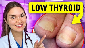 Meet Dr. Kaitlyn Saucier