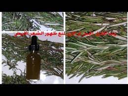 طريقة استخراج زيت اكليل الجبل او الازير لمنع ظهور الشعر الأبيض وتساقط الشعر ومنع ظهور حب الشباب Youtube Beautiful Flowers Bottles Decoration Beautiful