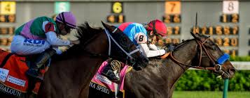Which are the top kitchen trends for 2020 2021 ? Slideshow Meet The 2021 Preakness Stakes Contenders America S Best Racing