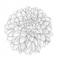 Flower Tattoo For Your Wrist Dahlia Flower Tattoos Flower Wrist Tattoos Flower Tattoo Designs