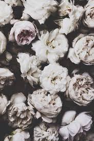 Black And White Hipster Tumblr Backgrounds Google Search Black Vintage Floral Wallpapers Flower Background Iphone Flowers Photography Wallpaper