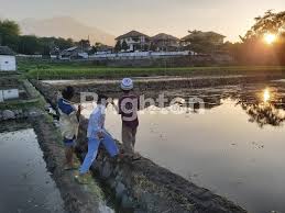 37 pekerjaan pandaan jawa timur, semua pandaan jawa timur pekerjaan, pandaan jawa timur di pekerjaan mitula. Desa Plintahan Pandaan Pasuruan Jawa Timur House For Sale Realestate Com Au