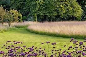 Short And Long Grasses Landscape Design Garden Design Natural Garden