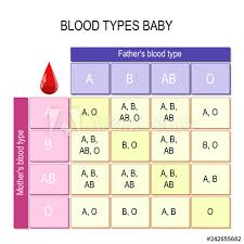 Blood Types Baby Chart Buy This Stock Vector And Explore