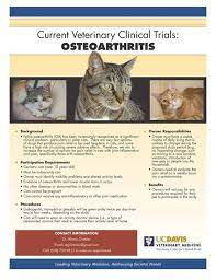 Https Www Facebook Com Ucdavisvetmed Photos A 196211924030 131400 164666034030 10152790636024031 Type 3 Veterinary Joint Inflammation Cats