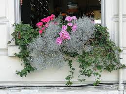 Very British Die Schonsten Englischen Blumenkasten Balkonrosen Blog Geranien Balkonkasten Bepflanzen Pflanzideen