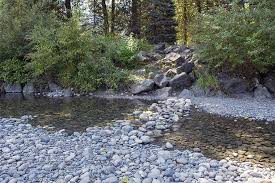 If you want to learn more about fraser island, join our email list for regular updates about what's. Vedder River Campground Fraser Valley Regional District
