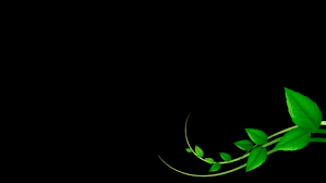 Black Background Simple Digital Art Plants Leaves Green Minimalism Wallpapers Hd Desktop And Mobile Backgrounds If you're in search of the best dark green backgrounds, you've come to the right place.