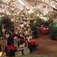 Holiday Windows Thursday Nov 20 event image