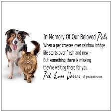 I heard the breaking of your heart but still i had to go. In Loving Memory Pets Greeting Cards For Facebook