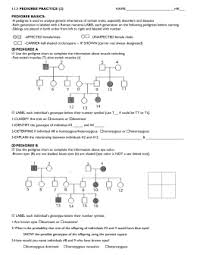 A circle represents a female. 27 Pedigrees Practice Worksheet Answers Free Worksheet Spreadsheet