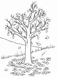Learn how to contain and prevent tree damage in the aftermath of a storm. Fall Tree Coloring Pages Coloring Home