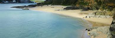 The exclusive area is home to celebrities and more than 40% of properties there are second homes. Sunny Cove Beach Beaches Near East Portlemouth Salcombe South Hams Devon Southhams Com