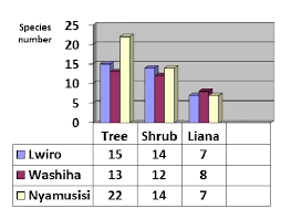 Image result for Sericanthe leonardii