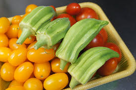 オクラが肥料不足 肥料過多 のぶさんの野菜の時間ですよ