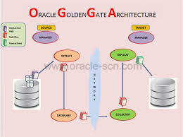Oracle is one of the database language its used for create database,tables,records…etc… 2. What Is Oracle Goldengate Oracle Scn