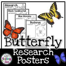 « » a page from the causes of color exhibit. Morpho Butterfly Worksheets Teaching Resources Tpt