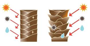 The middle layer of the hair shaft is called the cortex, made of keratin fibers. Hair Cuticle Understanding The Most Important Aspect Of Your Hair Hair Theme