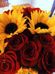 Aesthetic sunflowers and roses wallpaper. Account Suspended Sunflowers And Roses Red Roses And Sunflowers Sunflower Wallpaper