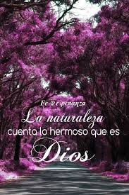 La Naturaleza Cuenta Lo Hermoso Que Es Dios Mensaje De Dios Frases Del Amor De Dios Pensamientos Cristianos