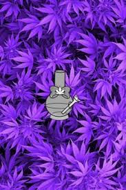 Minimalism, figure, art, neon, rick, rick and morty, synth. Weed Purple And Marijuana Image Weed Wallpaper Iphone Xr 854x1280 Wallpaper Teahub Io