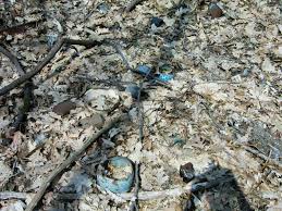 Here are a few items you can find in old dump sites, near cellar holes, and in outhouses. Here S What To Look For To Find Bottle Dumps In The Woods Friendly Metal Detecting Forums