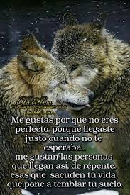 Imagen Relacionada Frases De Lobos Frases Frases Para Mi Amor
