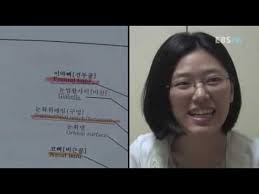 성격 유형 검사 성격 유형 연락처. ì„œìš¸ëŒ€ì˜ëŒ€ ìµœì—°ì†Œ ì¡¸ì—… Youtube