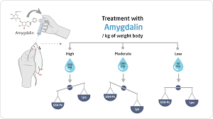 Amygdaline compounds are a natural therapy has been well studied for over 100 years. Evaluation Of The Effective Dose Of Amygdalin For The Improvement Of Antioxidant Gene Expression And Suppression Of Oxidative Damage In Mice Peerj