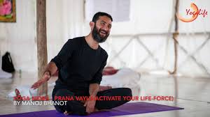 Maximize the effect of your practice. Yoga Nidra Prana Vayus Activate Your Life Force Youtube