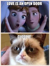 Pin By Kaylee Truesdale On The Grumpy Guide To Life Observations By Grumpy Cat Funny Grumpy Cat Memes Funny Dog Memes Funny Cat Memes