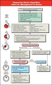 We did not find results for: Suspected Stroke Algorithm Card 25 Pk 90 1024 Emergency Nursing Nursing Flashcards Nurse