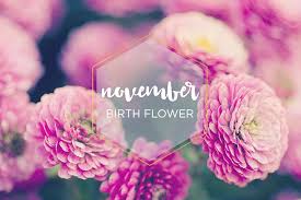 See more ideas about opal, my birthstone, stone. November Birth Flower Chrysanthemum Ftd Com