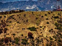 We did not find results for: Hollywood Sign Generator