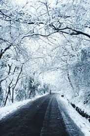 Christmas winter 4k, holidays, landscape, night, design, fantasy. Download Winter Tumblr Wallpaper Hd Backgrounds Download Itl Cat