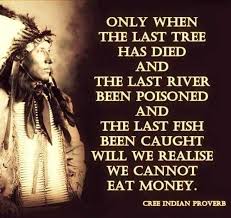 Only When The Last Tree Has Died Cree Indian Proverb 599 X 564 Indian Proverbs Wisdom Quotes American Indian Quotes