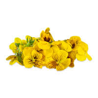 They'll be able to tell you where they buy flowers and the flower delivery options they go with. Shop For Edible Flowers At Marx Foods